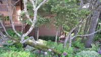 A Channel View Bed and Breakfast